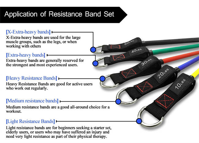  Exercise Resistance Bands with Handles - 5 Fitness Workout Bands Stackable up to 110 / 150 lbs, Training Tubes with Large Handles, Ankle Straps, Door Anchor Attachment, Carry Bag